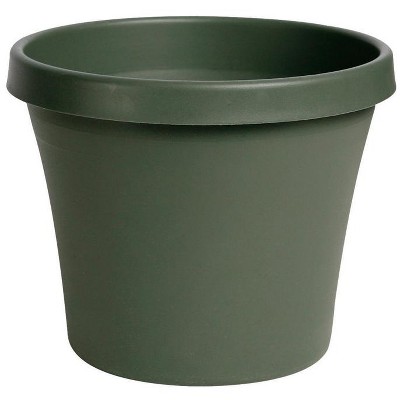 Bloem Terrapot 9 In. H X 10 In. D Resin Planter Living Green : Target