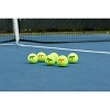 Penn Championship Extra Duty Tennis Balls - 4pk - image 4 of 4