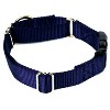 Country Brook Petz Heavy Duty Nylon Martingale Dog Collar with Deluxe Buckle - 30+ Vibrant Color Options - 4 of 4