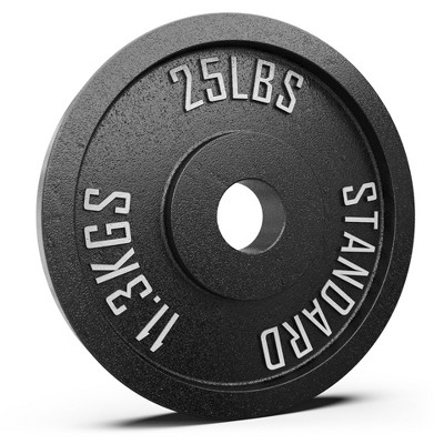 Synergee Standard Metal Weight Plates - 25lb Single : Target