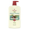 Old Spice Men's Body Wash - Fiji with Palm Tree - 2 of 4