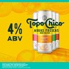 Topo Chico Aguas Frescas Hard Seltzer VP - 12pk/12 fl oz Cans - 2 of 4