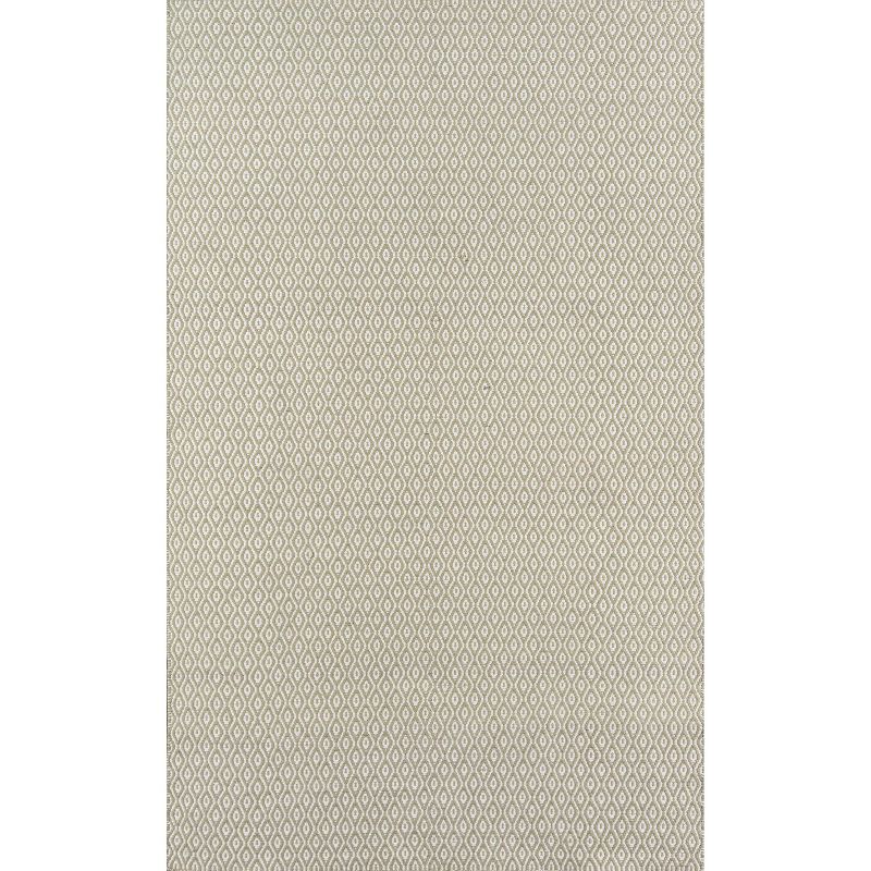 Newton Davis Hand Woven Recycled Plastic Indoor/Outdoor Rug Green - Erin Gates by Momeni, 1 of 11