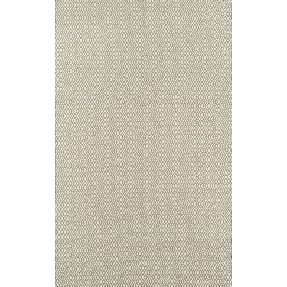 3'6inx5'6in Newton Davis Hand Woven Recycled Plastic Indoor/Outdoor Rug Green - Erin Gates by Momeni