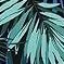blue & green