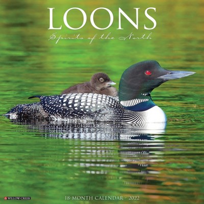 2022 Wall Calendar Loons - Willow Creek Press