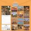 The Gifted Stationery 2025 Square Wall Calendar, Safari, 16-Month Natural World Theme with 180 Reminder Stickers (12x12 In) - 4 of 4
