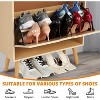 2-Layer MDF Shoe Cabinet with Compact Design, Modern Wooden Finish, Shoe Storage Organizer, Shoe Rack, and Space-Saving Shoe Storage Solution - 4 of 4