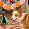 Bocce's Bakery Halloween Boo Box Carob, Banana, Apple, Coconut, Peppermint, Peanut Butter Flavor Dental Hard Crunchy Dog Treats - 2.54oz - 3 of 3