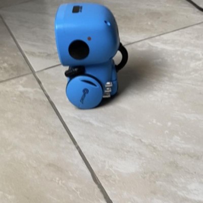 Gesture Controlled Smart Robot for Kids - KidsBaron