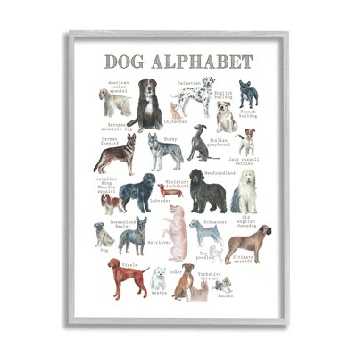 Stupell Industries Dog Alphabet Animal ABC's Framed Giclee