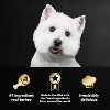 Cesar Home Delights with Turkey, Potato and Vegetable Flavor Small Breed Wet Dog Food - 3.5oz - 4 of 4