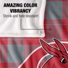 University Of Central Missouri Campus Plaid Spirit Silky Touch Super Soft Throw Blanket 50x60 - 4 of 4