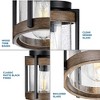 Progress Lighting, Whitmire, 1-Light Outdoor Ceiling Mount, Matte Black, Clear Seeded Glass - 4 of 4