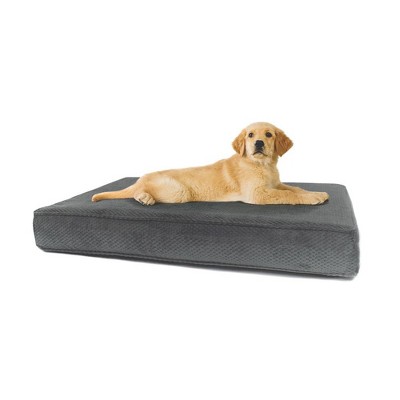 memory foam dog bed