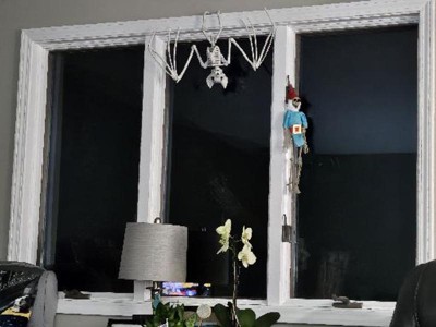 Guest review image 1 of 1, zoom in