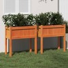 vidaXL Garden Planters with Legs - Wax Brown Solid Pine Wood, 27.6"x12.2"x27.6", Set of 2 - 2 of 4