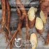 Organic Yellow Dock Root Cut & Sifted 8 Oz - 3 of 4