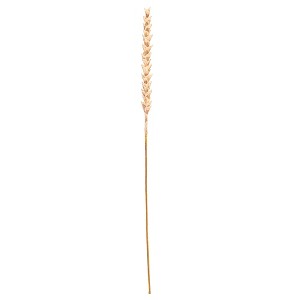 Vickerman 34" Artificial Design Polynesian Stem, 3 per bag - 1 of 4