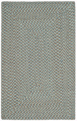 Braided BRD170 Hand Woven Area Rug  - Safavieh