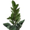 NicBex Real Touch Plant in Gray Cement Pot, Faux Fake Potted Tree for Floor Home Office Decor, Low Maintenance Indoor Greenery Artificial Plants - 4 of 4