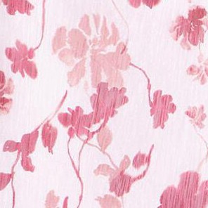 blooms of pink