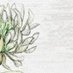 farmhouse gray