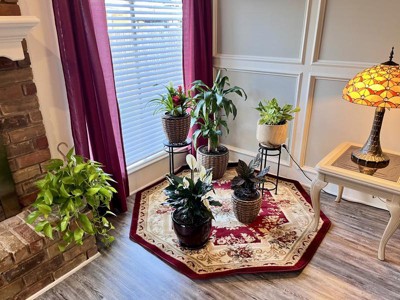 Guest review image 1 of 1, zoom in