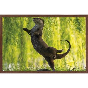 Trends International The Comedy Wildlife Photography Awards: Otter Kwek - Ballerina Framed Wall Poster Prints - 1 of 4