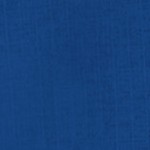 royal blue/black mesh