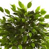 HomeStock  3 ft. Artificial Ficus Tree in Pot for Indoor/Outdoor - 2 of 3