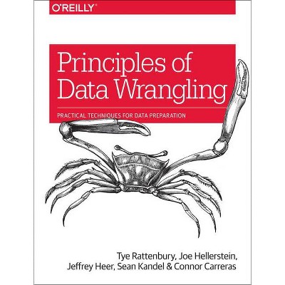 Principles of Data Wrangling - by  Tye Rattenbury & Joseph M Hellerstein & Jeffrey Heer & Sean Kandel & Connor Carreras (Paperback)