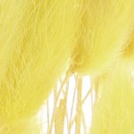 lemon yellow