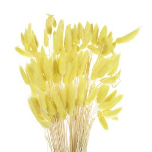 Unique Bargains Decorative Natural Dried Floral Bunny Tail Artificial Plants 120 Pcs - 1 of 4