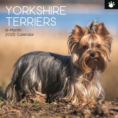 The Gifted Stationery 2025 Square Wall Calendar, Yorkshire Terriers, 16-Month Animals Theme with 180 Reminder Stickers (12 x 12 In)
