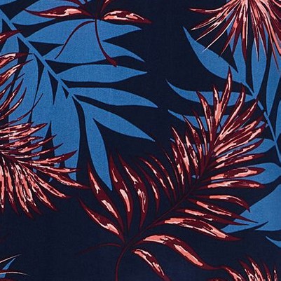 midnight jungle