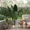 3.6FT Artificial Monstera Tree with Natural Wood Trunk & Large Leaves - Realistic Potted Indoor Outdoor Plant for Home Decor, Perfect As a Gift 120CM - 3 of 4