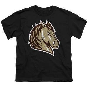 Southwest Minnesota State University Distressed Primary Kids T-Shirt For Youth Black - 1 of 4