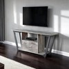 Graystone 1 Drawer TV Stand for TVs up to 60" with Shelves - Breighton Home - 2 of 4