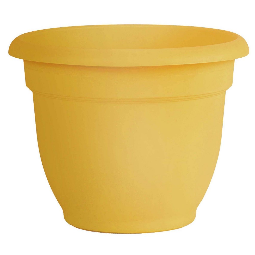 UPC 087404000034 product image for 20
