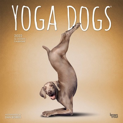 2022 Square Calendar Yoga Dogs - BrownTrout Publishers Inc