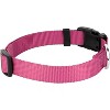 Country Brook Petz Deluxe Nylon Dog Collar and Leash - 3 of 4