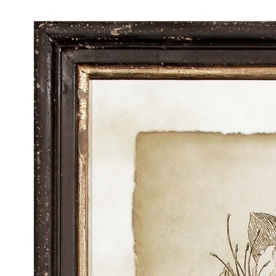 Set of 6 Vintage Botanical Framed Prints with Black and Gold Accents