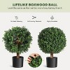 Whizmax 24 Inch Artificial Topiary Boxwood Ball Trees,Faux Plant with Black Pot for Indoor Walkway, Entryway Decor,2 Pcs - 4 of 4