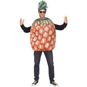 Fun World Prickly Pineapple Men's Costume, Standard - 1 of 2