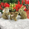 Design Toscano The Bunny Den, Garden Rabbit Statues, Set of 3 - Brown - 2 of 4