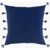 Livabliss Castaway Coastal Throw Pillow - 2 of 4
