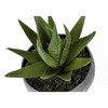 NicBex Set of 3 Succulent in Cement Pots, 6"H Faux Fake Plants Artificial Plants Indoor, Tabletop Greenery for Desk, Shelf & Windowsill Decor - 4 of 4