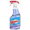 Windex Fresh Scent Glass And Surface Pre-moistened Wipes Crystal Rain -  25ct : Target
