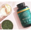 Primal Harvest Multi Collagen Pills for Women and Men (Type I, II, III, V, X) 120 Capsules w/Vitamin C for Hair, Skin, Nails - 2 of 4
